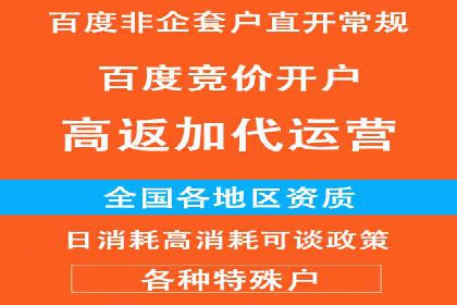 SEO策略在电商平台的成功应用案例